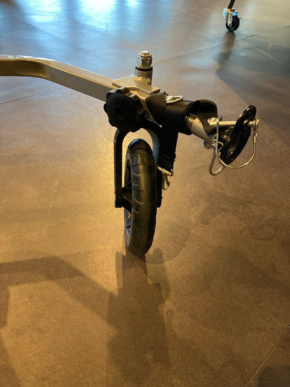 Schwinn Convoy Double Trailer/Stroller, Blue