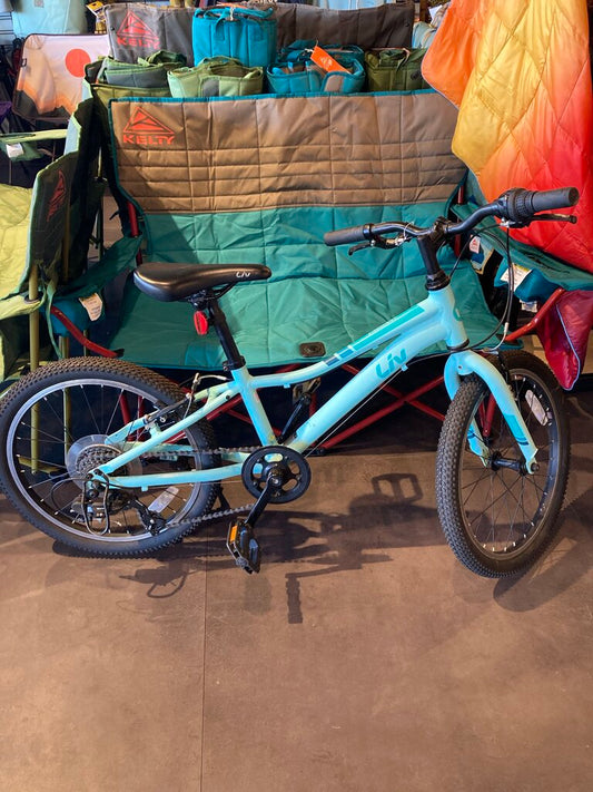 Liv Enchant Kids Bike, Light Blue, 20" Wheels