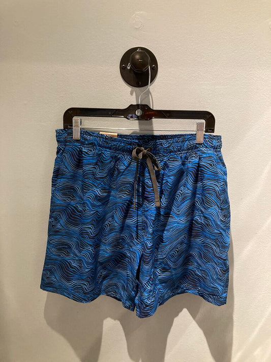 (NEW) Prana Plunge Shorts, Blue/Pattern, Men's L