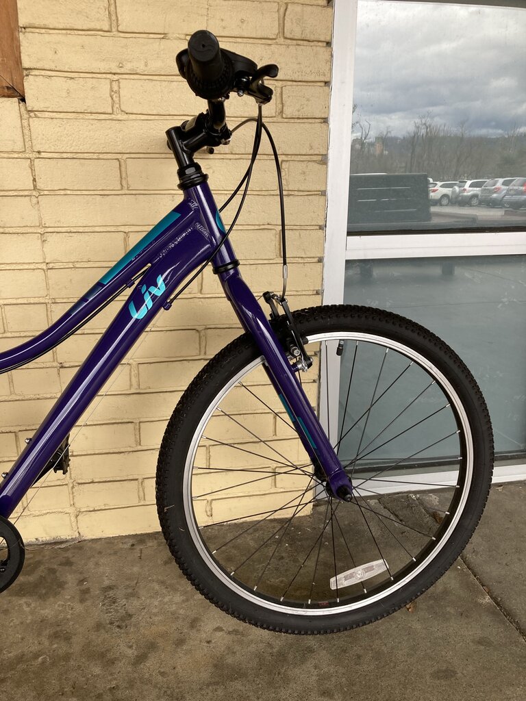 Liv Enchant 24 Lite Hybrid Bike, Purple, 12" Frame/24" Tires