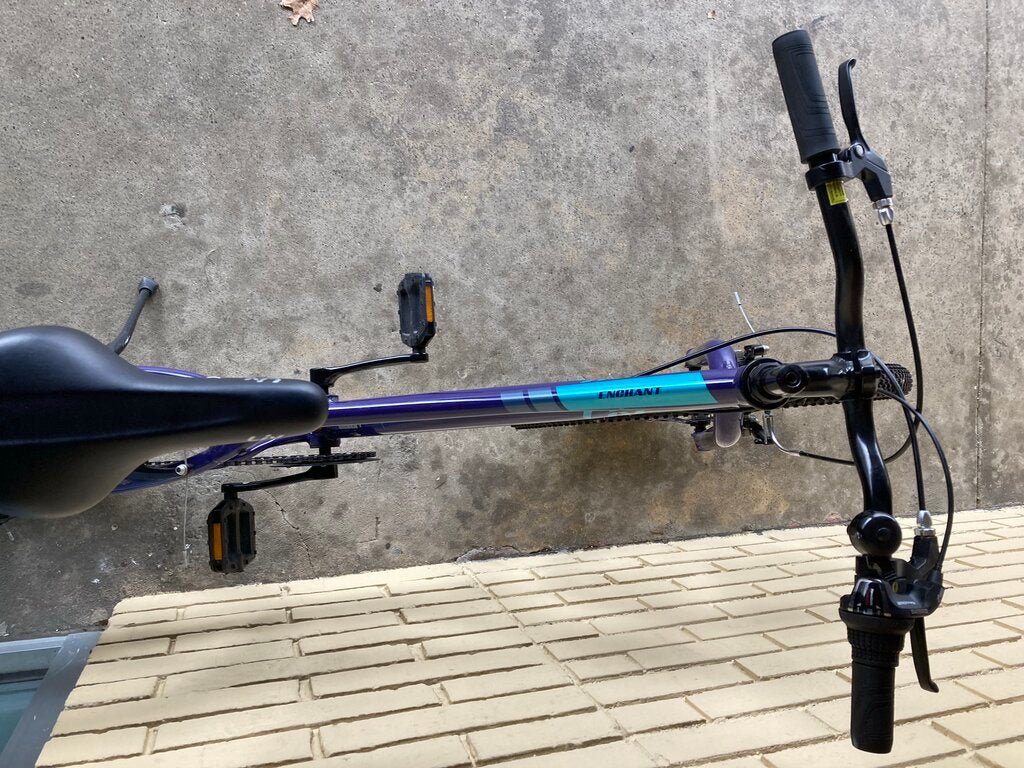 Liv Enchant 24 Lite Hybrid Bike, Purple, 12" Frame/24" Tires