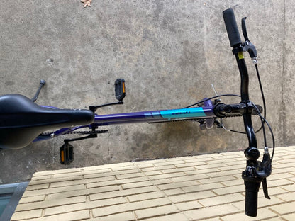 Liv Enchant 24 Lite Hybrid Bike, Purple, 12" Frame/24" Tires