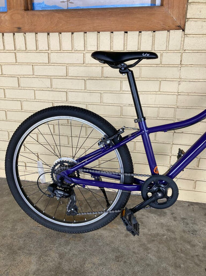 Liv Enchant 24 Lite Hybrid Bike, Purple, 12" Frame/24" Tires