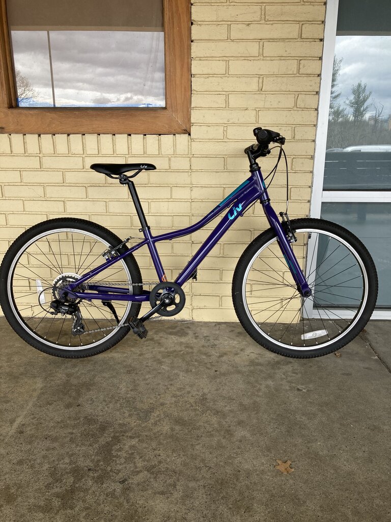 Liv Enchant 24 Lite Hybrid Bike, Purple, 12" Frame/24" Tires