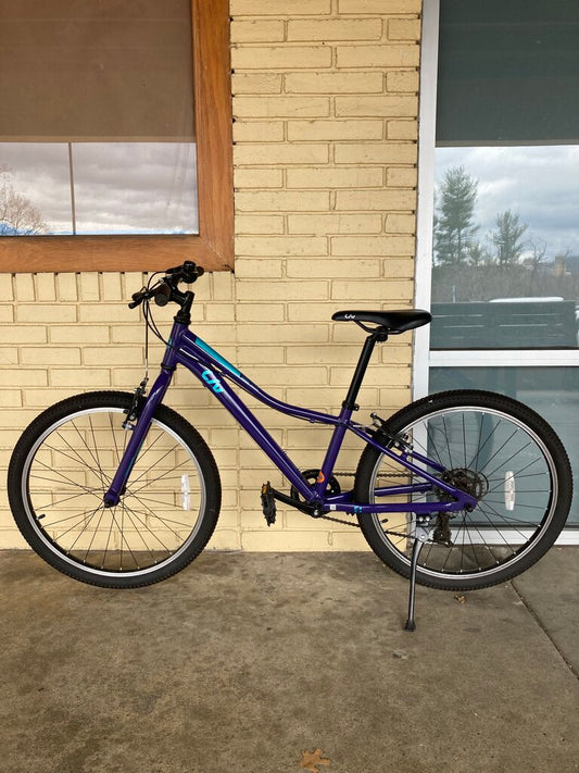 Liv Enchant 24 Lite Hybrid Bike, Purple, 12" Frame/24" Tires