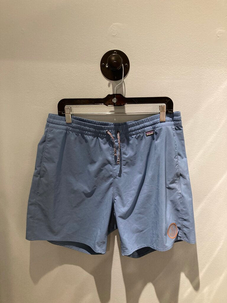 Patagonia Shorts, Blue, Men's L?