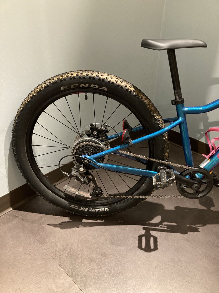 Cannondale Trail Kid's Bike,Teal/Pink, 24in Wheels, 13.5in Frame