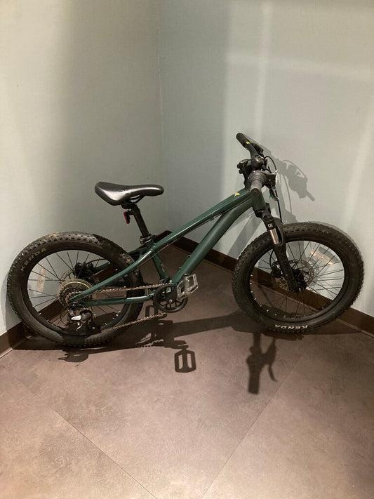 Giant STP MTB, Green, 20" wheels/10" Frame