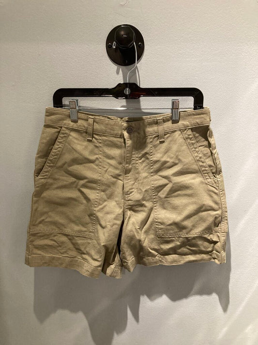 Patagonia Shorts, Green, Women's 10