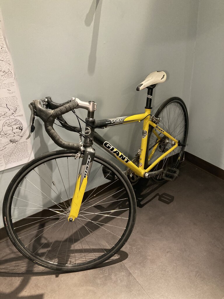 Giant TCR Bike, Yellow/Grey, 44