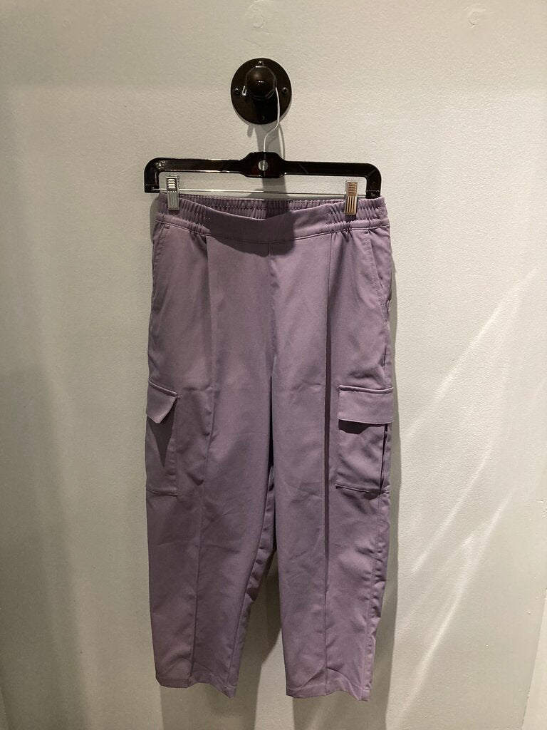 The North Face Pants, Purple, Women's S