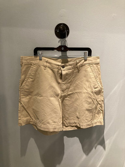 Patagonia Shorts, Khaki, Men's 38