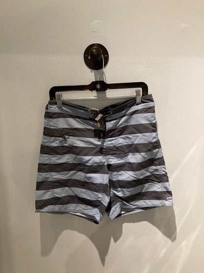 Patagonia Board Shorts, Blue Stripes, Men's 30