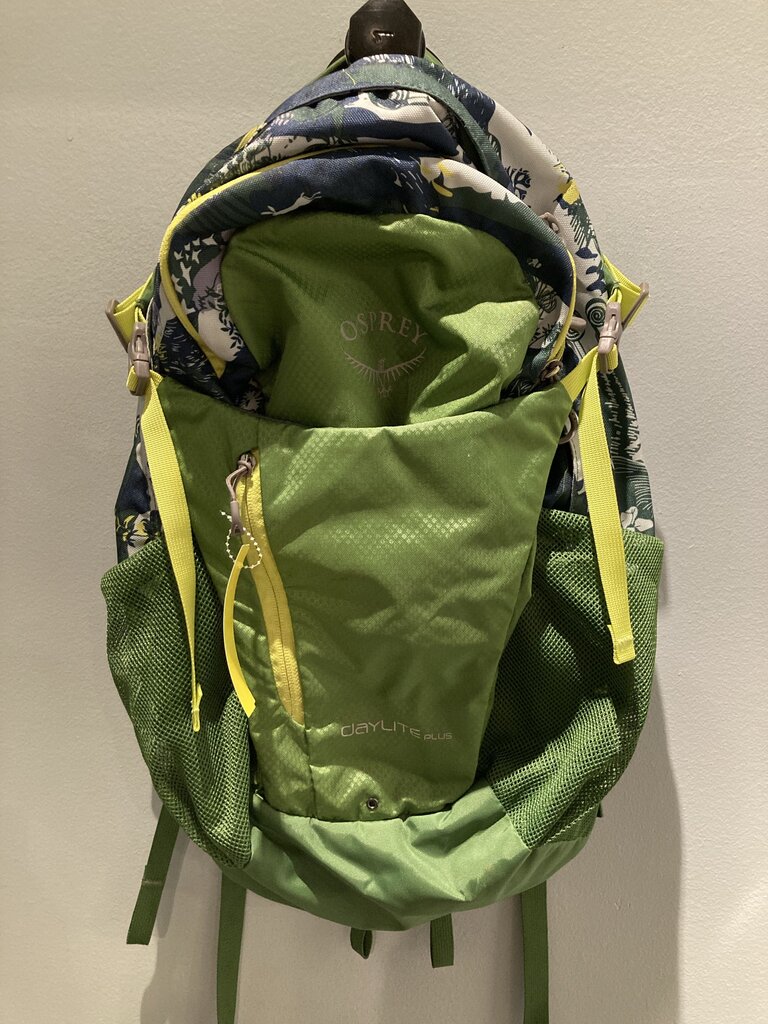 Osprey Daylite Plus Pack, Green, 20L