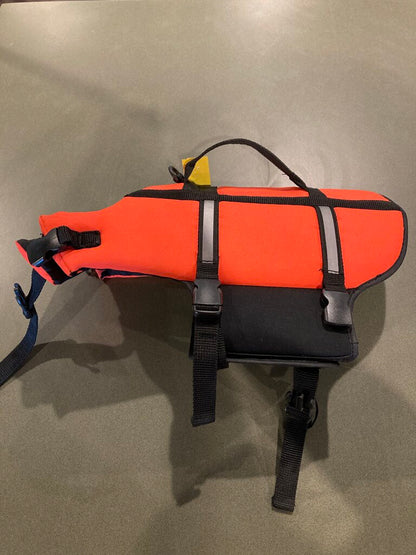 Outward Hound DFD, Orange, Small?