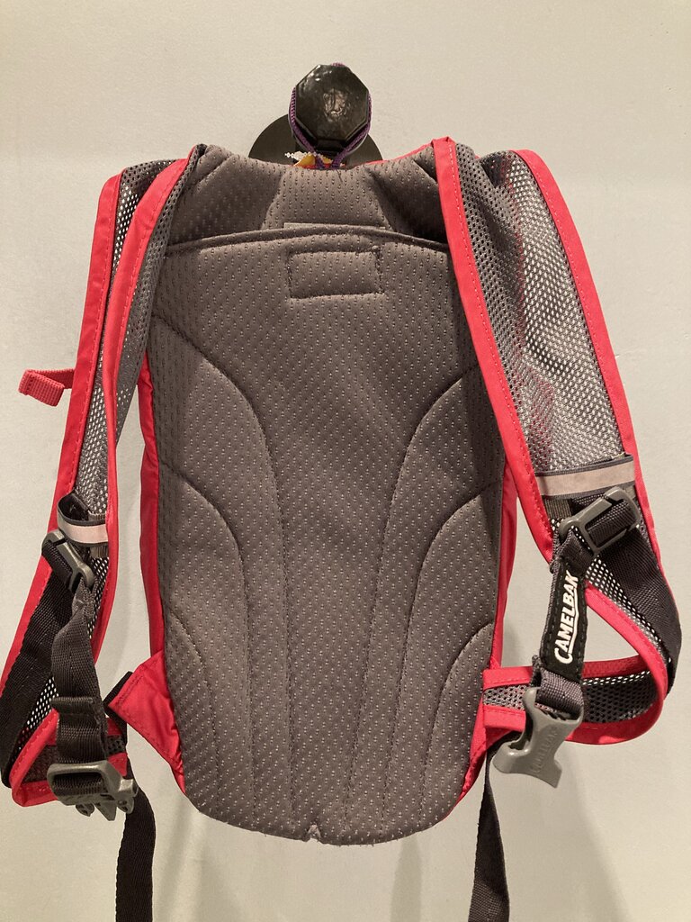 Camelbak Hydropack, (NO BLADDER) Pink/Purple, OS