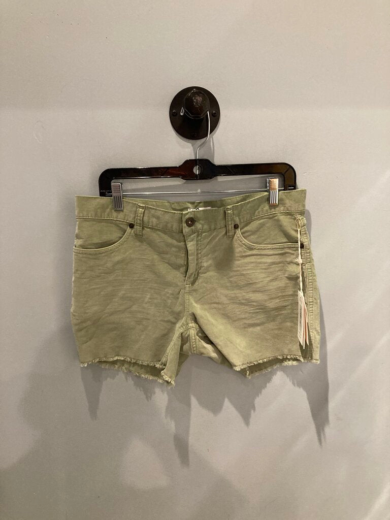 (NWT) Carve Designs Cord Shorts, Green, Women's 6