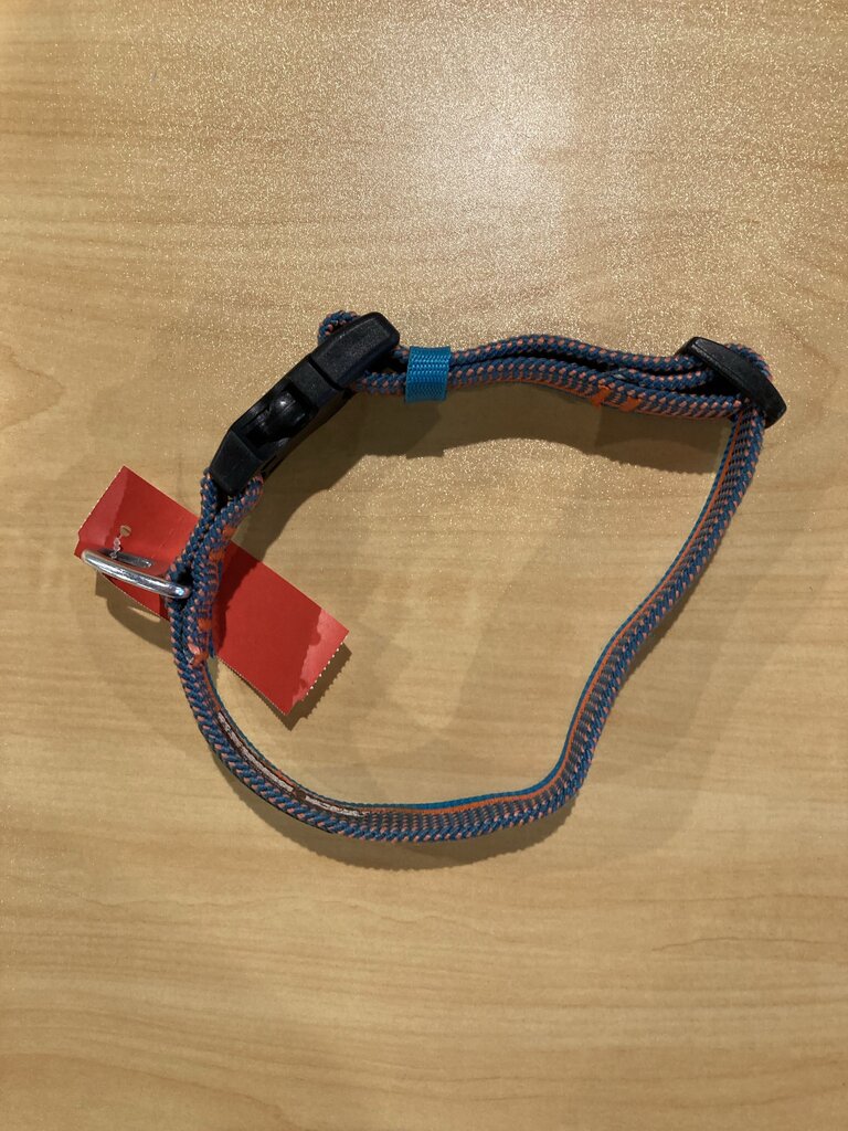 Arcadia Trail Dog Collar, Blue/Orange, M