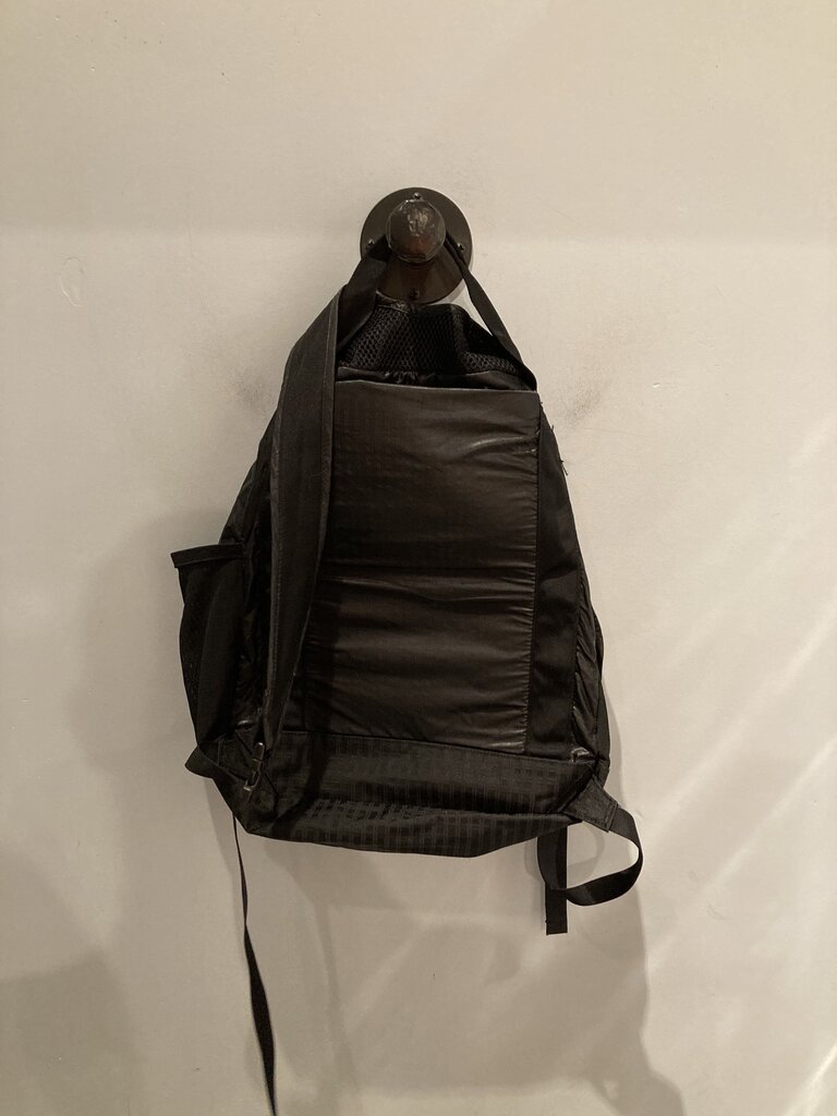 Patagonia Cinch Backpack, Black, 20L?
