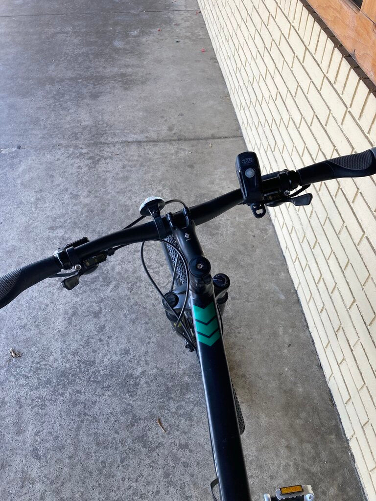 Trek Dual Sport Bicycle, Black/Green, 19"