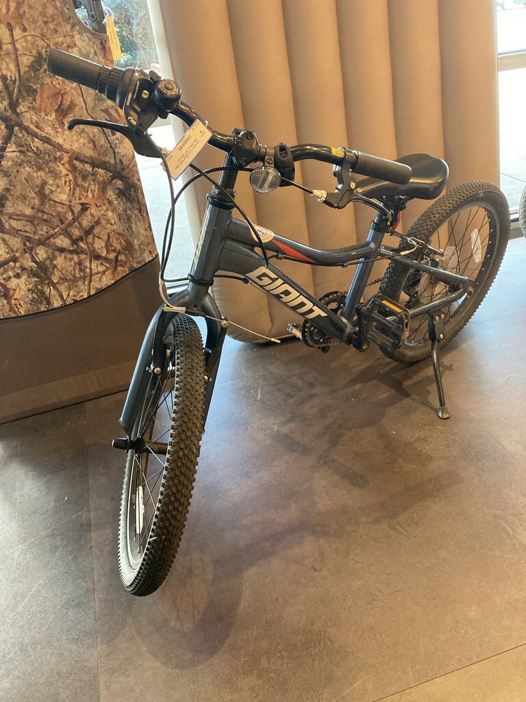 (Brakes TLC) Giant Kids Bike, Blue/Silver, 20" Wheels