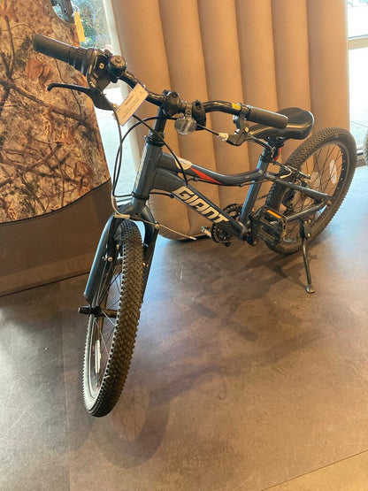 (Brakes TLC) Giant Kids Bike, Blue/Silver, 20" Wheels