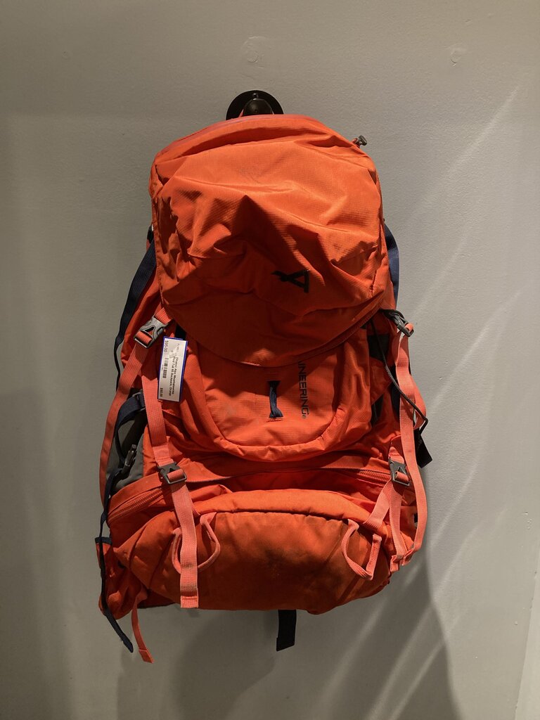 (Stains) Alps Mountaineering Red Tail 65 Backpack, Orange