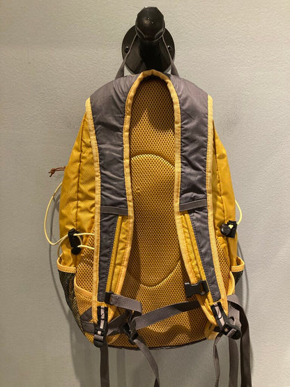 Coleman Daypack, Grey/Yellow