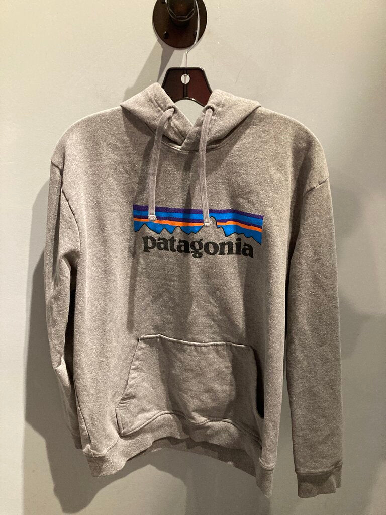 Patagonia Hoody, Gray/Logo, Men's L