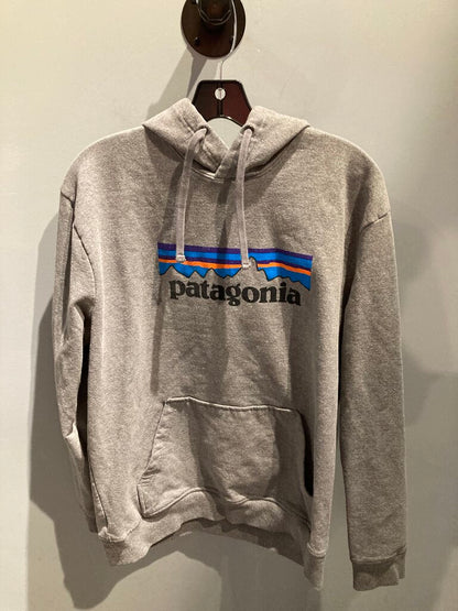 Patagonia Hoody, Gray/Logo, Men's L