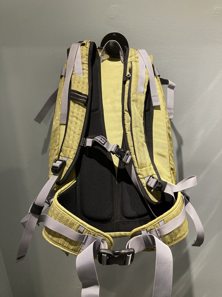 (NWT) Patagonia Inner Limits Backpack, Green