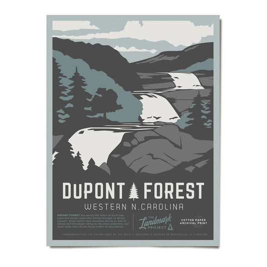 The Landmark Project Dupont Forest Poster