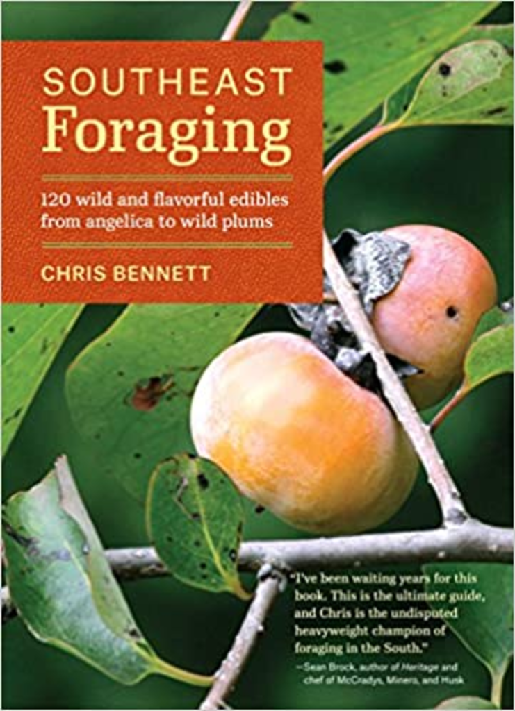 Southeast Foraging: 120 Wild & Flavorful Edibles from Angelica to Wild Plants