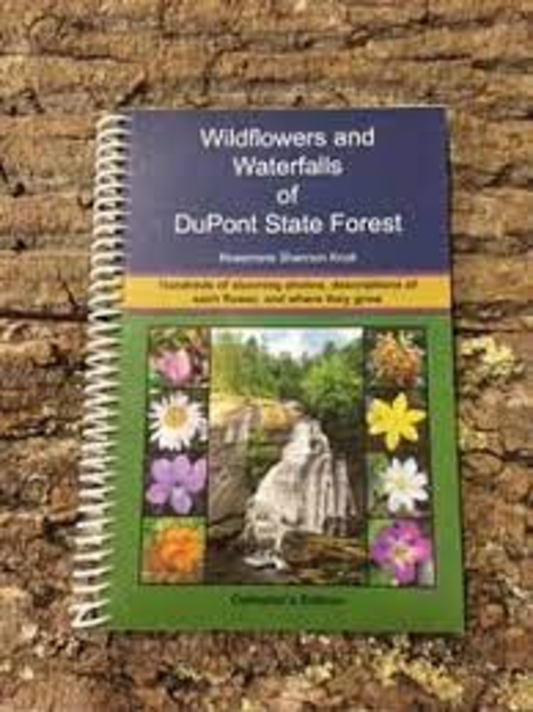 Wildflowers and Waterfalls of DuPont State Forest
