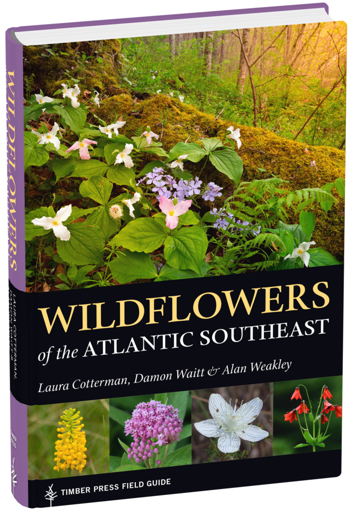 "Wildflowers of the Atlantic Southeast" by Laura Cotterman, Damon Waitt, and Alan Weakley