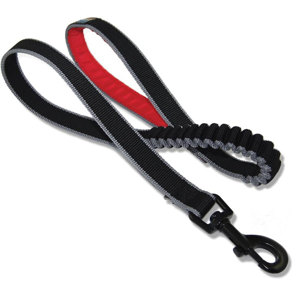 Kurgo Springback Dog Leash, 48"