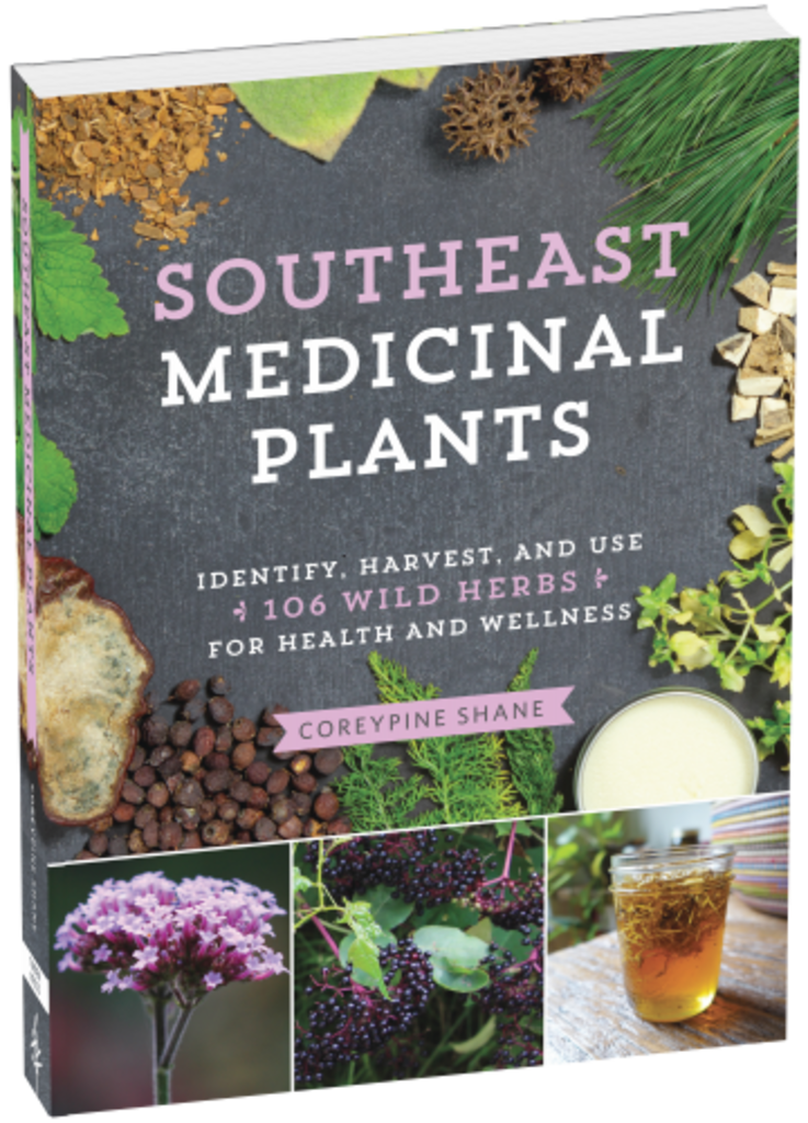 "Southeast Medicinal Plants" by CoreyPine Shane
