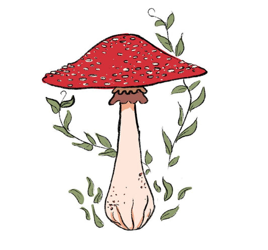 Red Mushroom Sticker