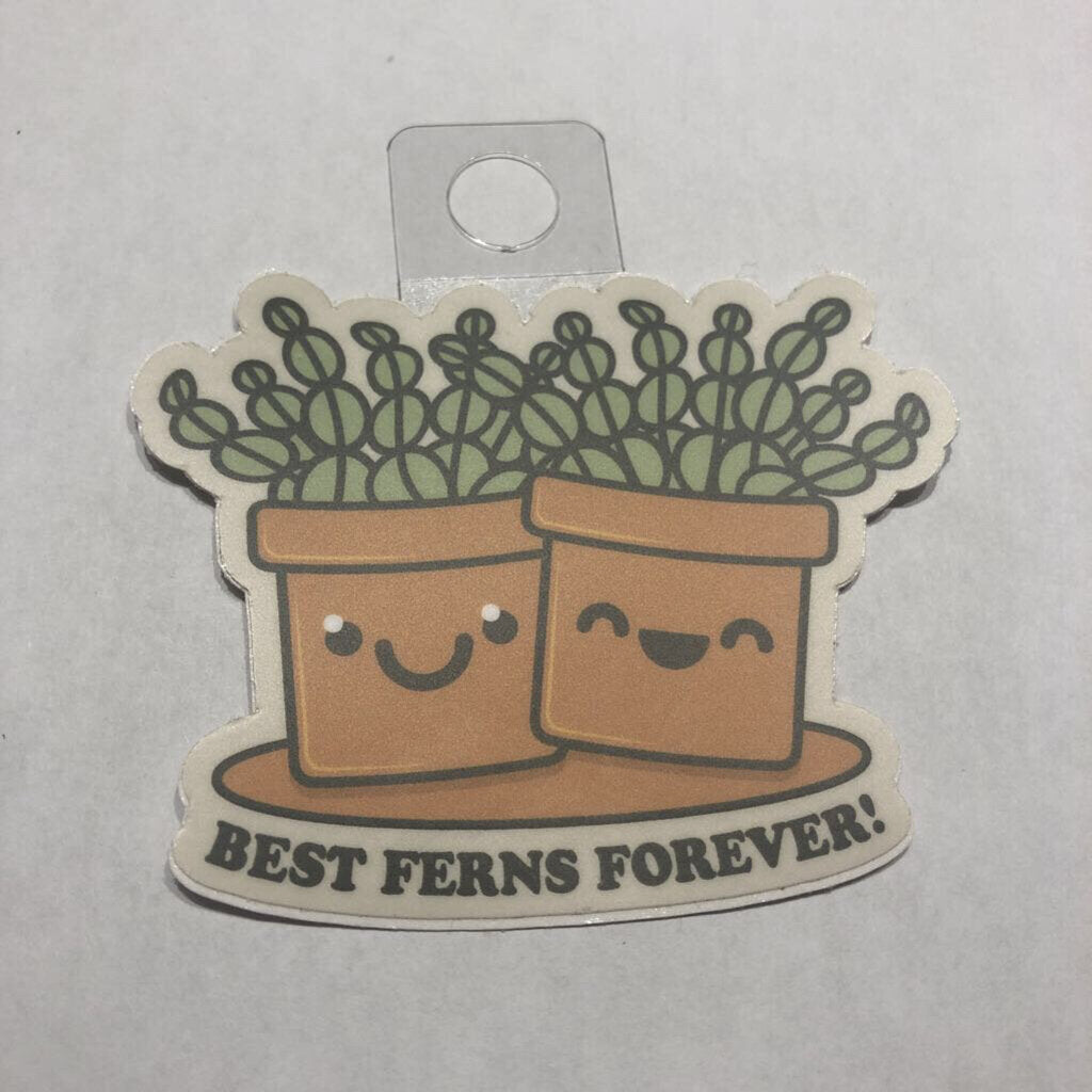 Menottees Best Ferns Forever