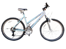 Load image into Gallery viewer, Giant Boulder SE Bicycle, Silver, 19&quot;