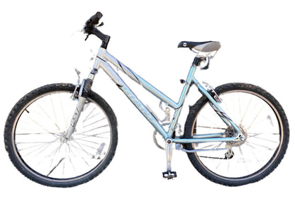 Giant Boulder SE Bicycle, Silver, 19"