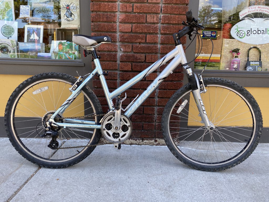 Giant Boulder SE Bicycle, Silver, 19"